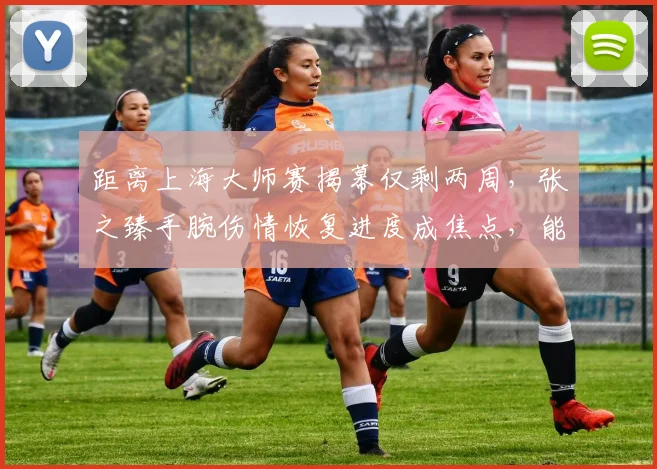 距离上海大师赛揭幕仅剩两周，张之臻手腕伤情恢复进度成焦点，能否主场亮相引关注