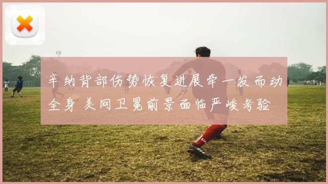 辛纳背部伤势恢复进展牵一发而动全身 美网卫冕前景面临严峻考验